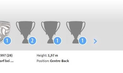 开云体育移动版-德转：原陕西联合外援赖纳加盟长春亚泰
