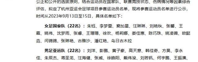 开云体育App-男足亚运队名单：戴伟浚领衔申花7人 陶强龙入队