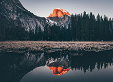 开云体育App-【早报】头铁的火鸟 嘴硬的穆鸟